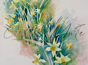 Daffodil Vignette