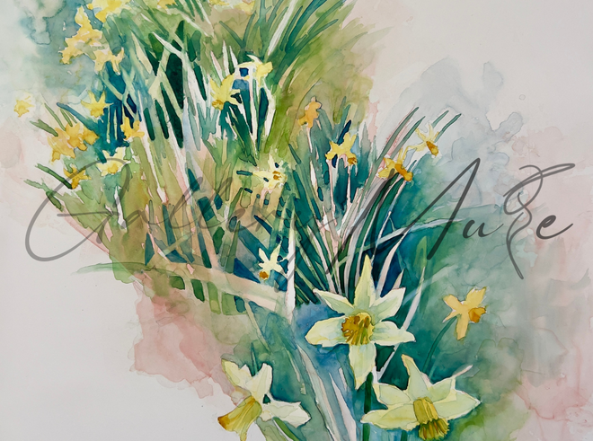 Daffodil Vignette