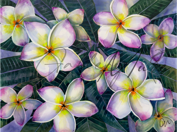 Dawn of Plumeria Canvas