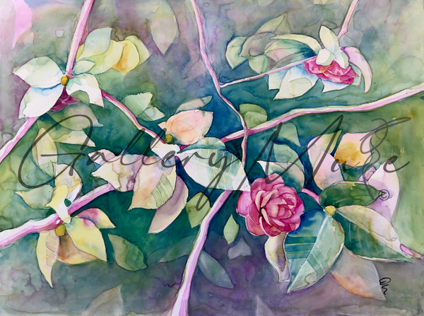 Camellias in Bloom Canvas