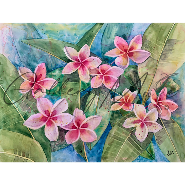 Plumeria Blossoms Canvas